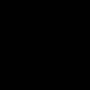 Meet your Posher, Callie